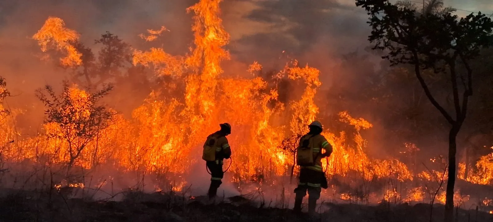 Dois brigadistas diante de incêndio em vegetação de cerrado, à noite