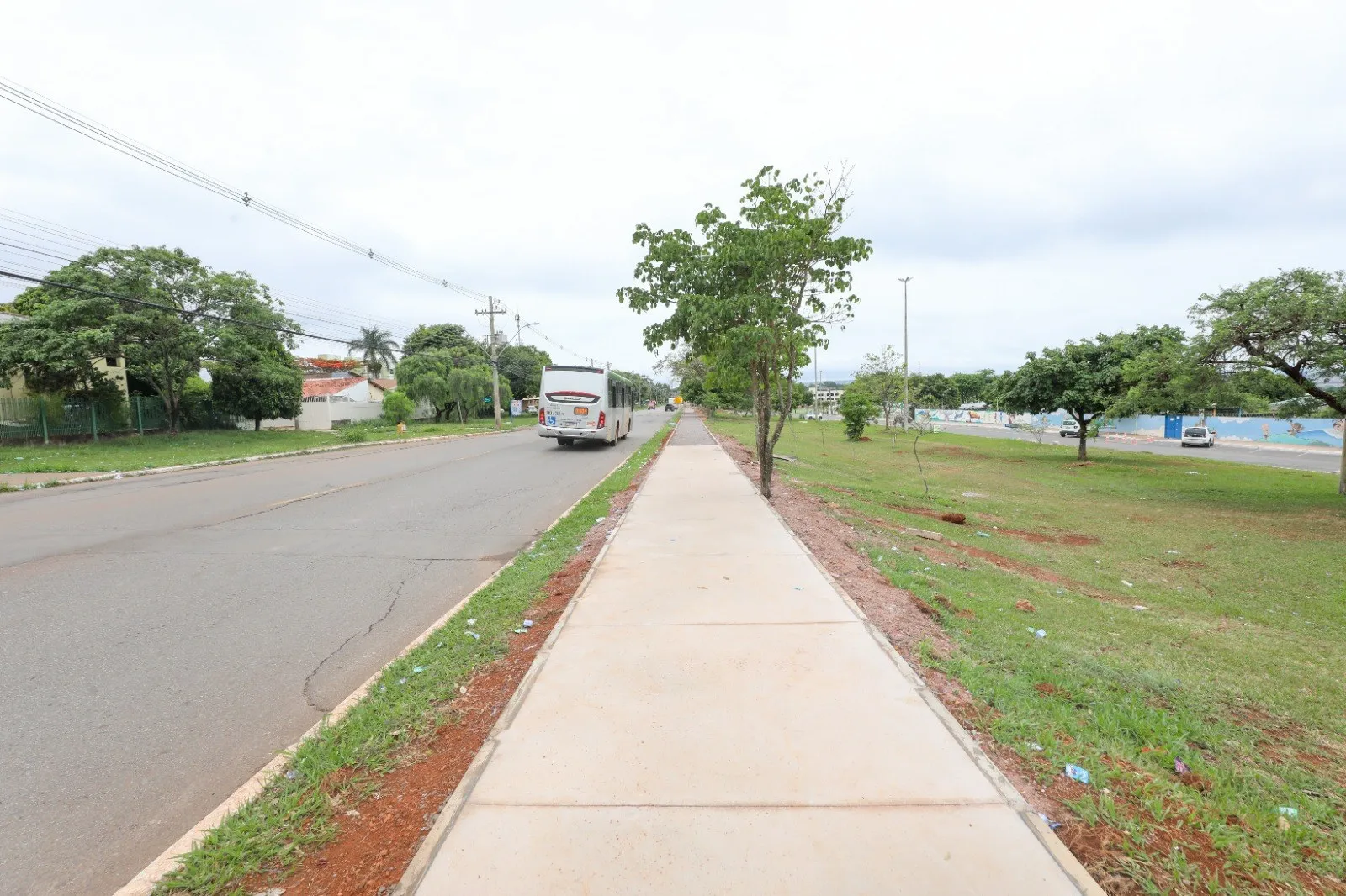 Calçada nova de concreto ao lado da avenida arborizada em Sobradinho