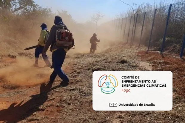 Trabalhadores fazem a manutenção de aceiro em área de vegetação seca, junto a uma cerca