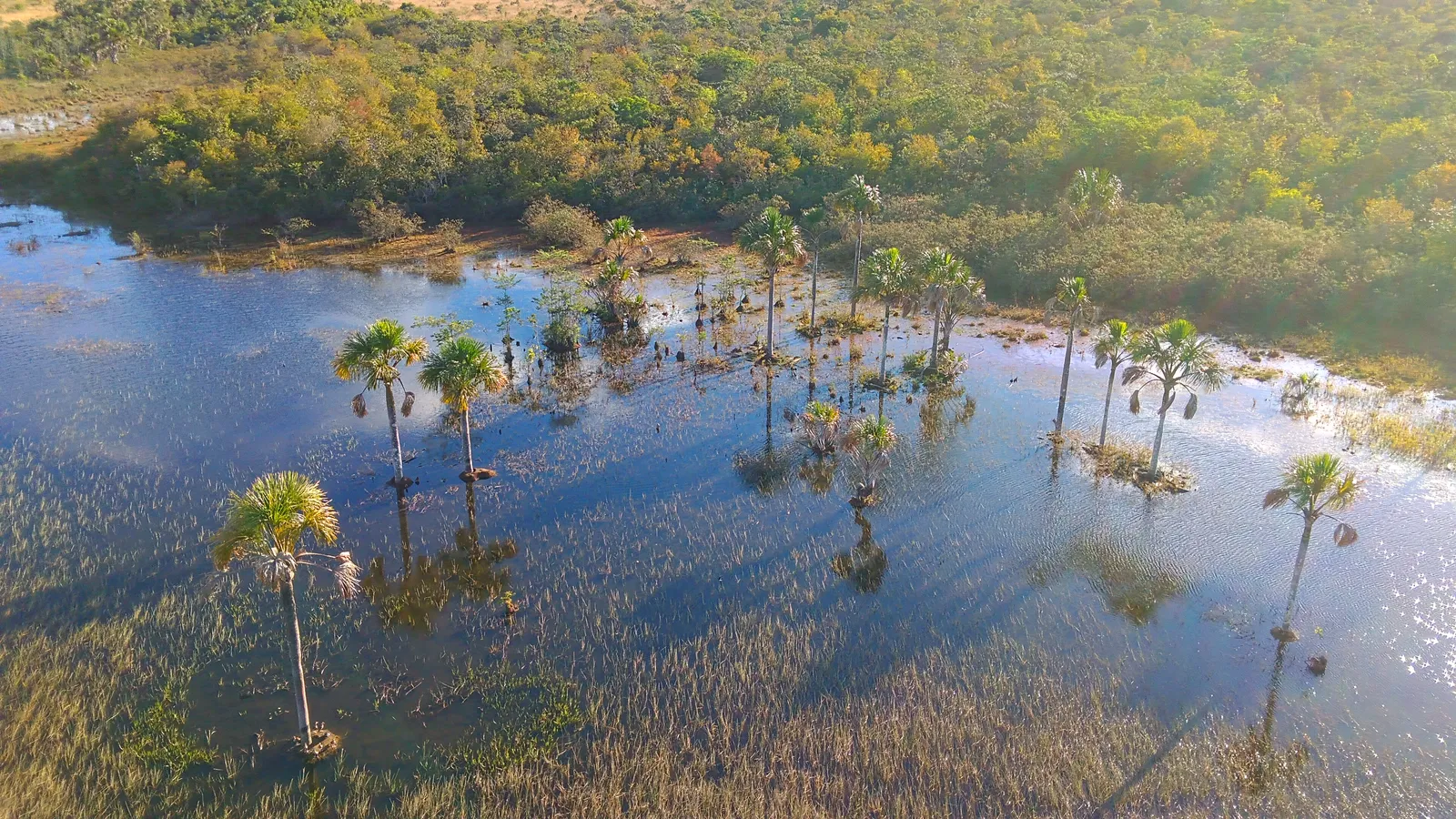 Vista aérea da Lagoa Bonita, na Estação Ecológica de Águas Emendadas, em Planaltina, no Distrito Federal