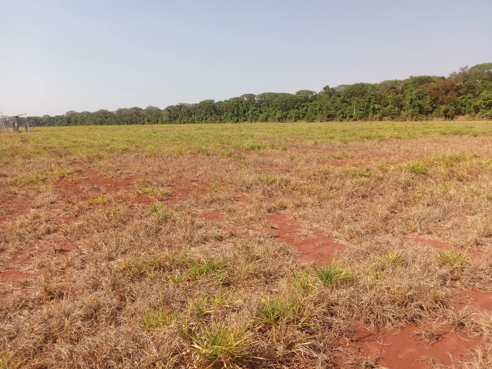 Área de pesquisa agropecuária da Embrapa, com pastagem em pousio e vegetação de Cerrado ao fundo